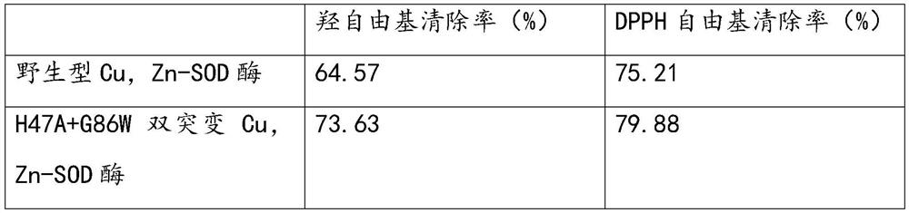 Transdermal total absorption type anti-aging nano functional mask based on superoxide dismutase