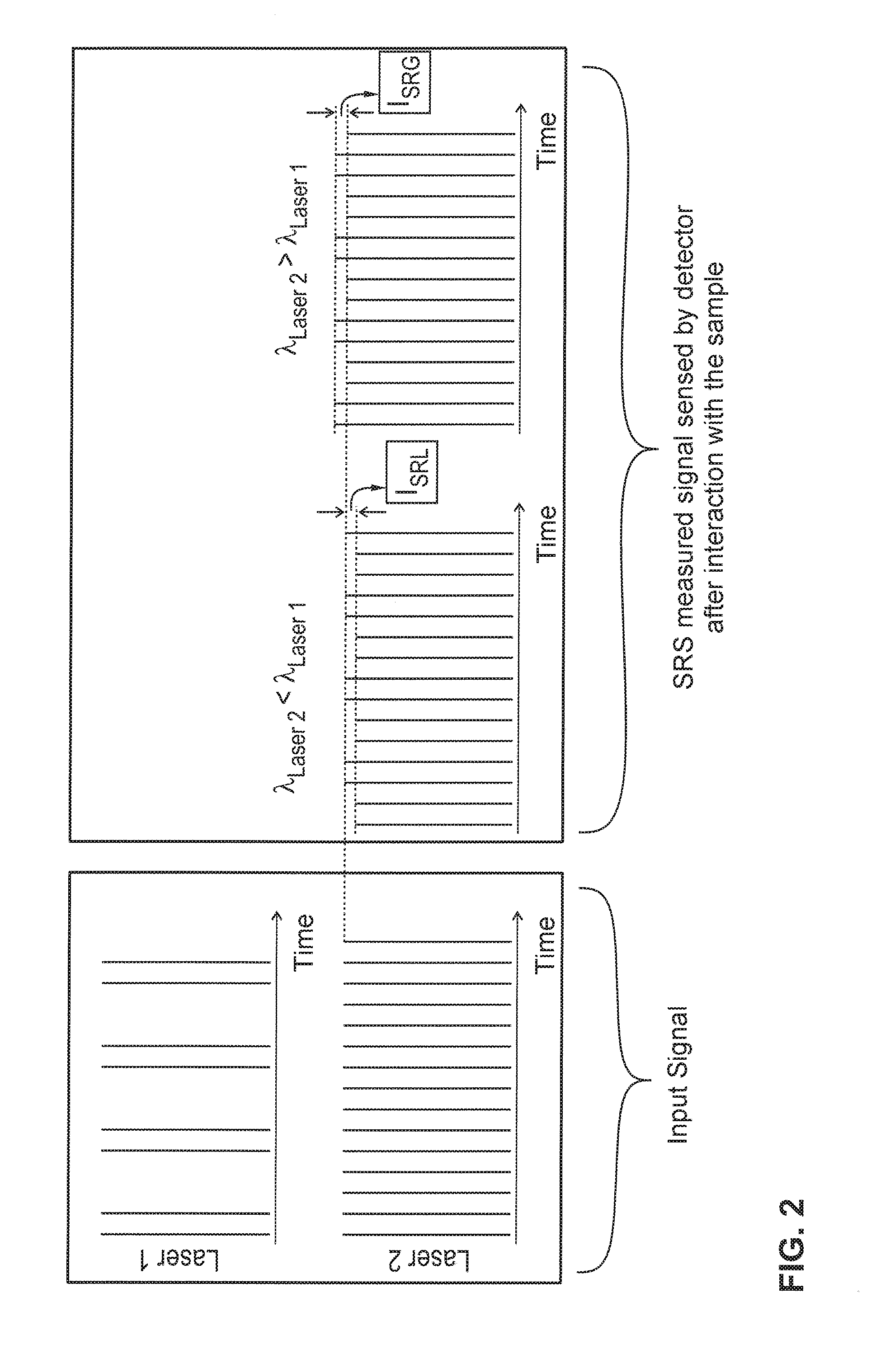 Raman microscopic imaging device