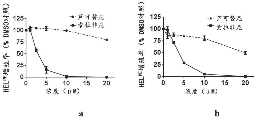 New application of sorafenib, regorafenib and analogues or derivatives thereof