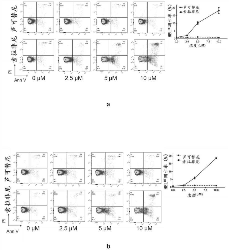 New application of sorafenib, regorafenib and analogues or derivatives thereof