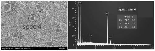 Method for improving microbial corrosion resistance of concrete