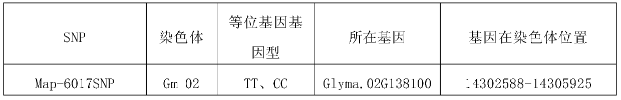 A method for identifying or assisting the identification of soybean grain linolenic acid content and its application