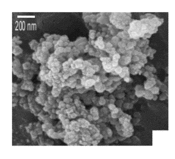 Composite carbon fiber electrodes incorporating porous high surface area carbon