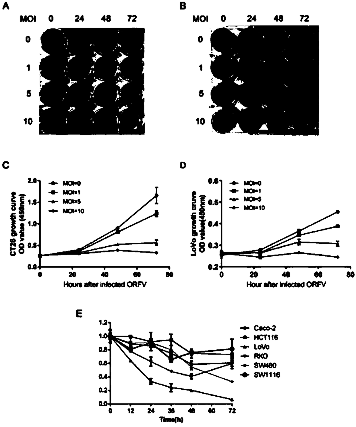 Application of ORFV in preparation of anti-colorectal cancer cell drugs