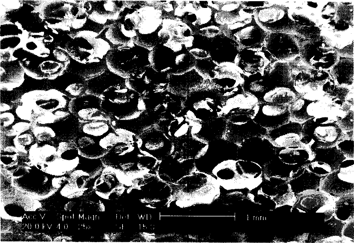 Method for preparing CaO-P2O5-MgO glass reinforced porous beta-tricalcium phosphate bioceramics