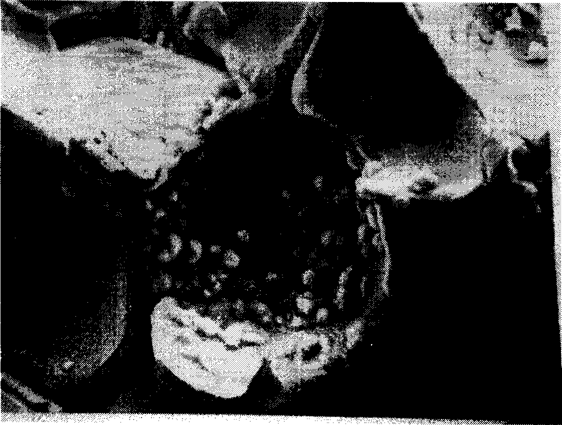 Method for preparing CaO-P2O5-MgO glass reinforced porous beta-tricalcium phosphate bioceramics