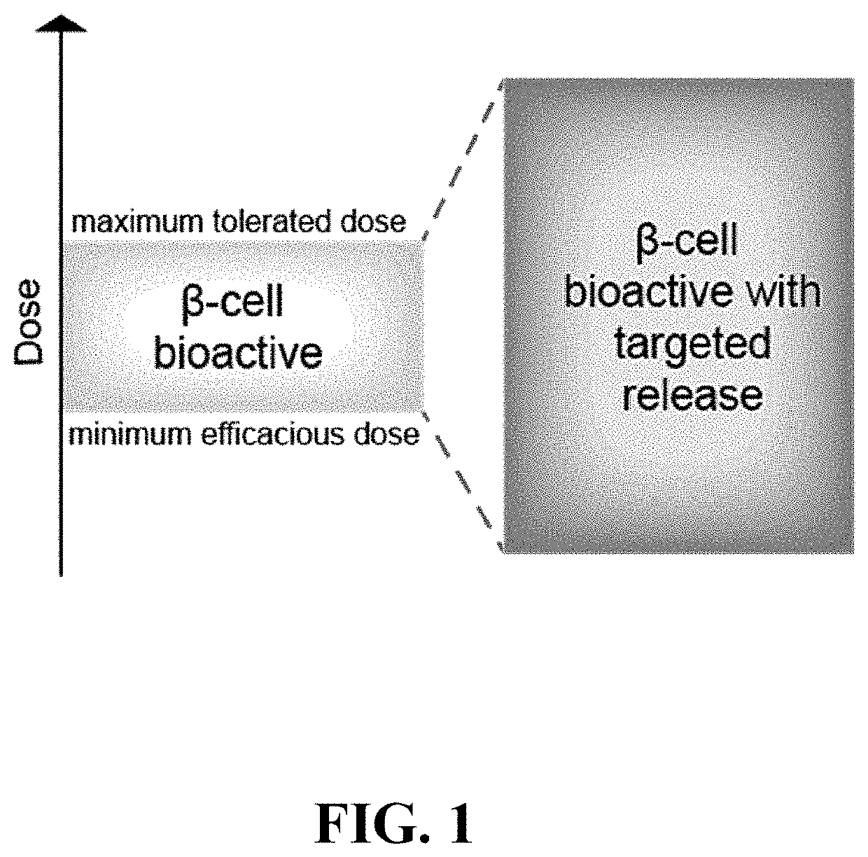 Targeted delivery to beta cells