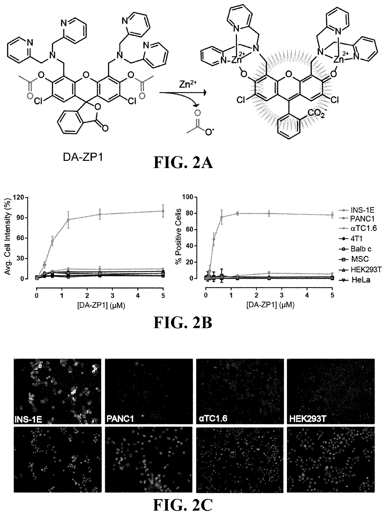 Targeted delivery to beta cells