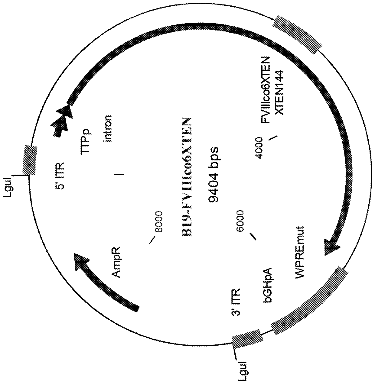 Nucleic acid molecules and uses thereof