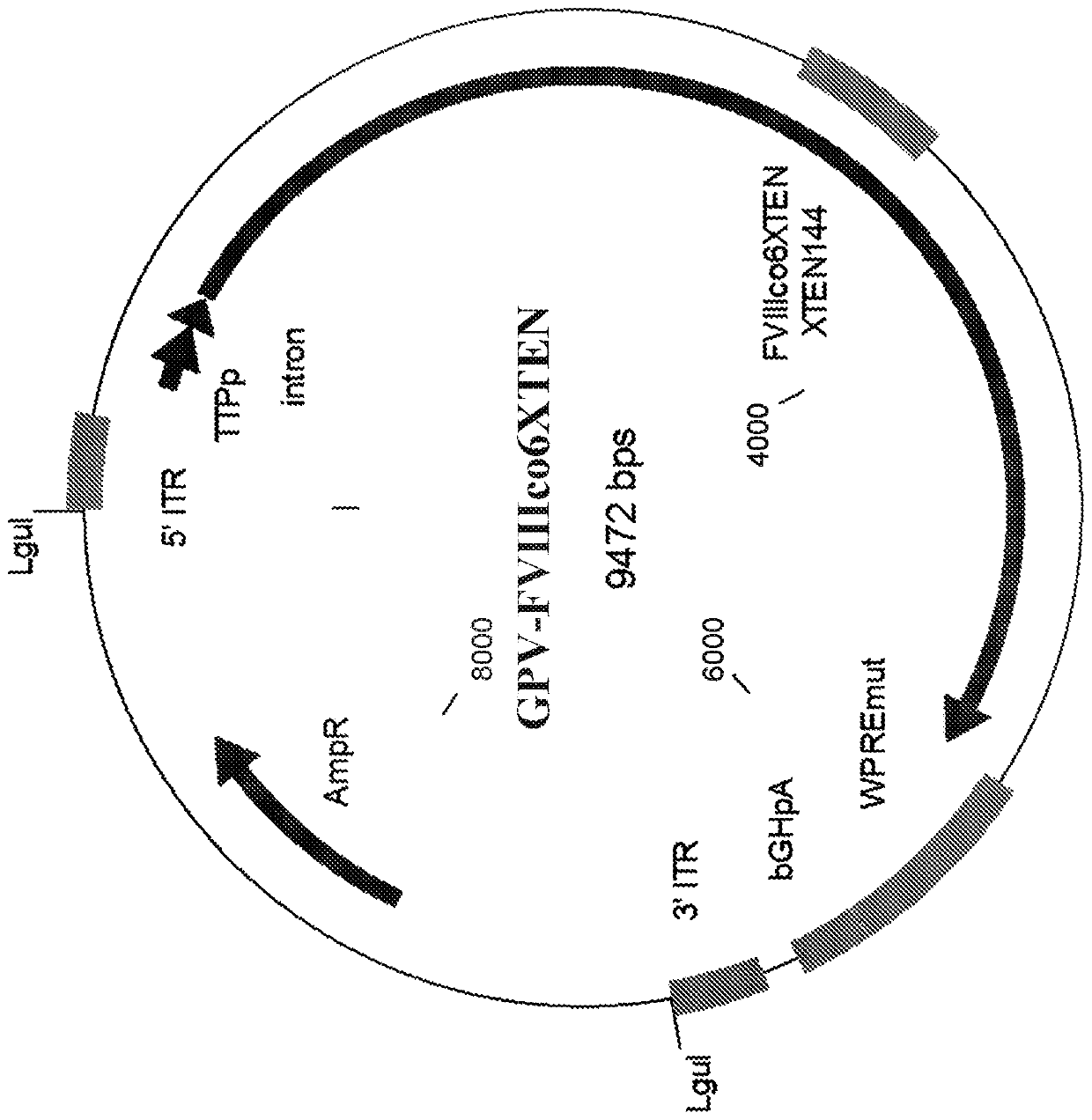 Nucleic acid molecules and uses thereof