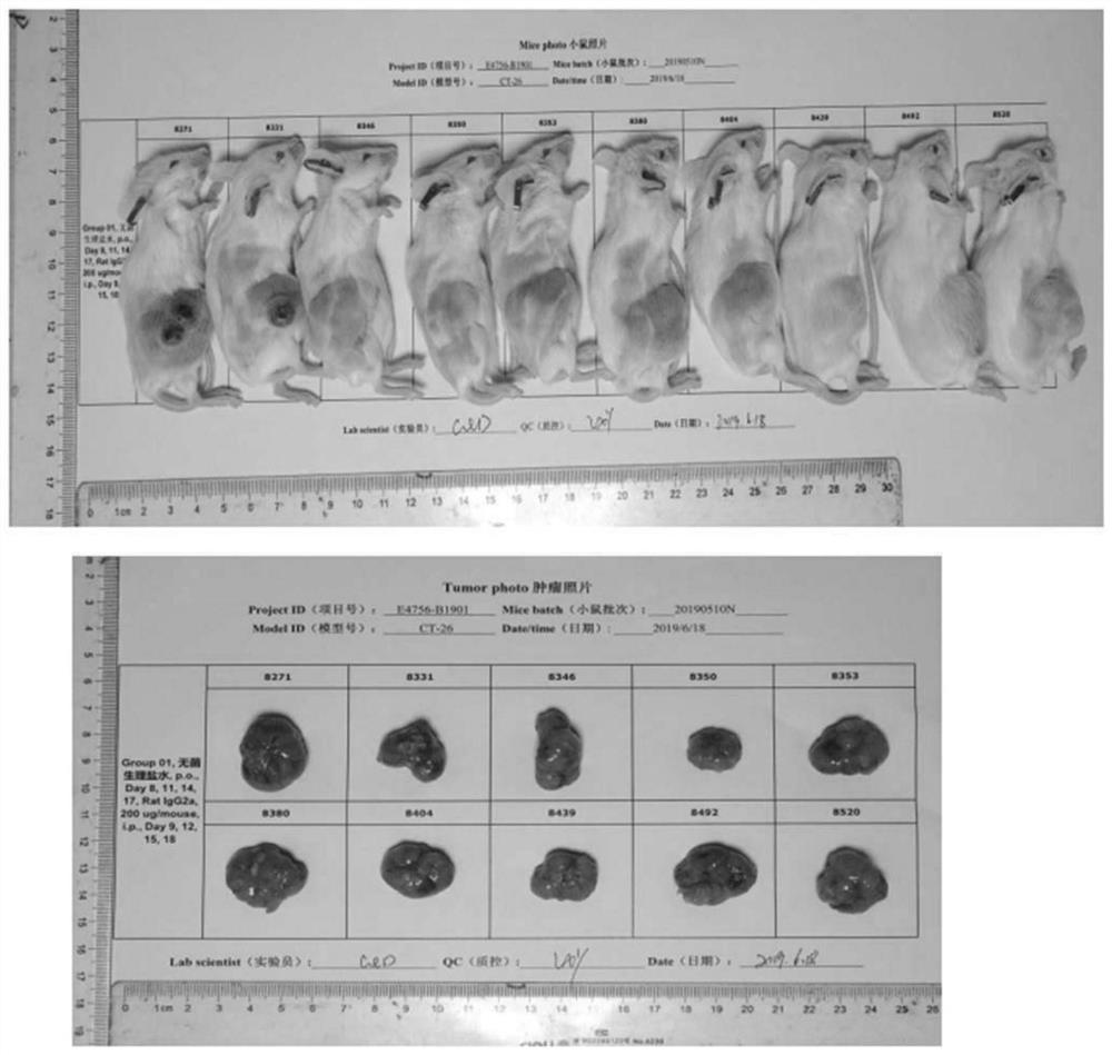 Pharmaceutical composition and its use for treating diseases