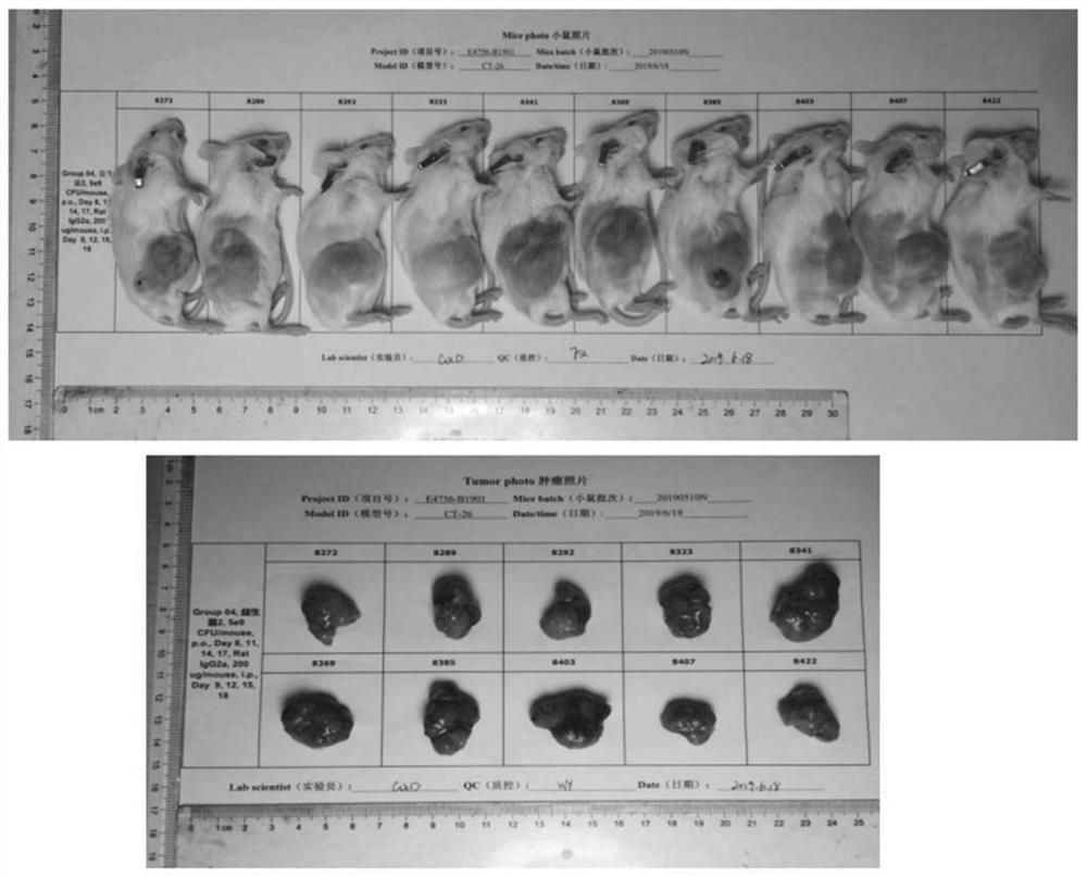 Pharmaceutical composition and its use for treating diseases