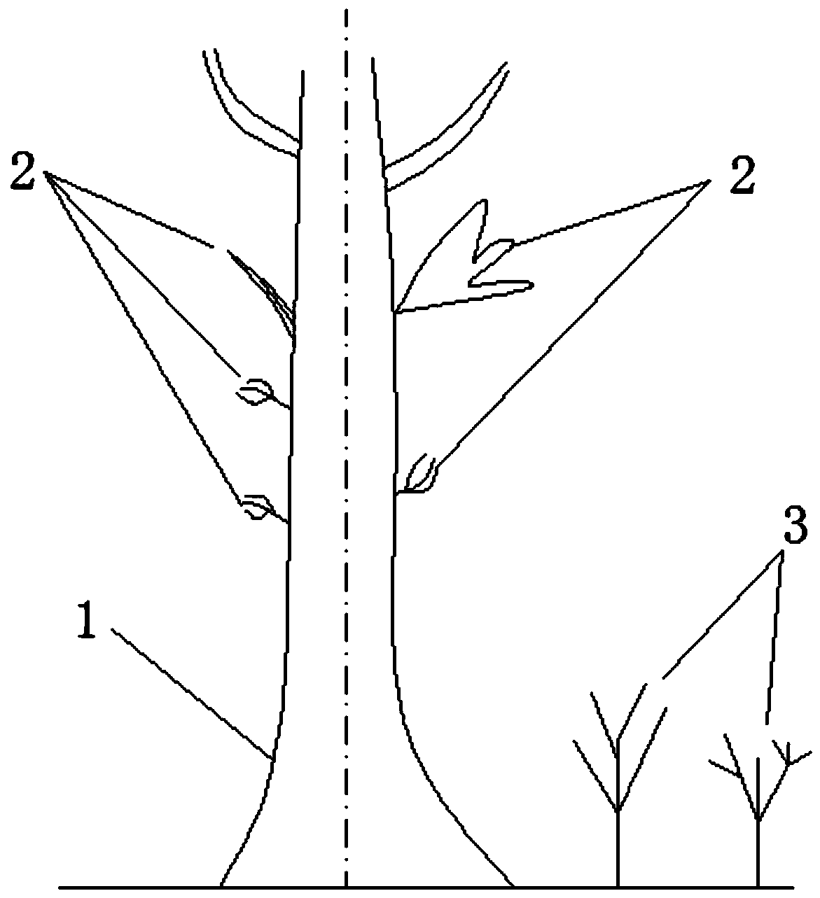 Inter-stratum plant landscape community construction method to improve ecological diversity of city garden