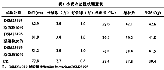 A Strain of Bacillus and Its Application