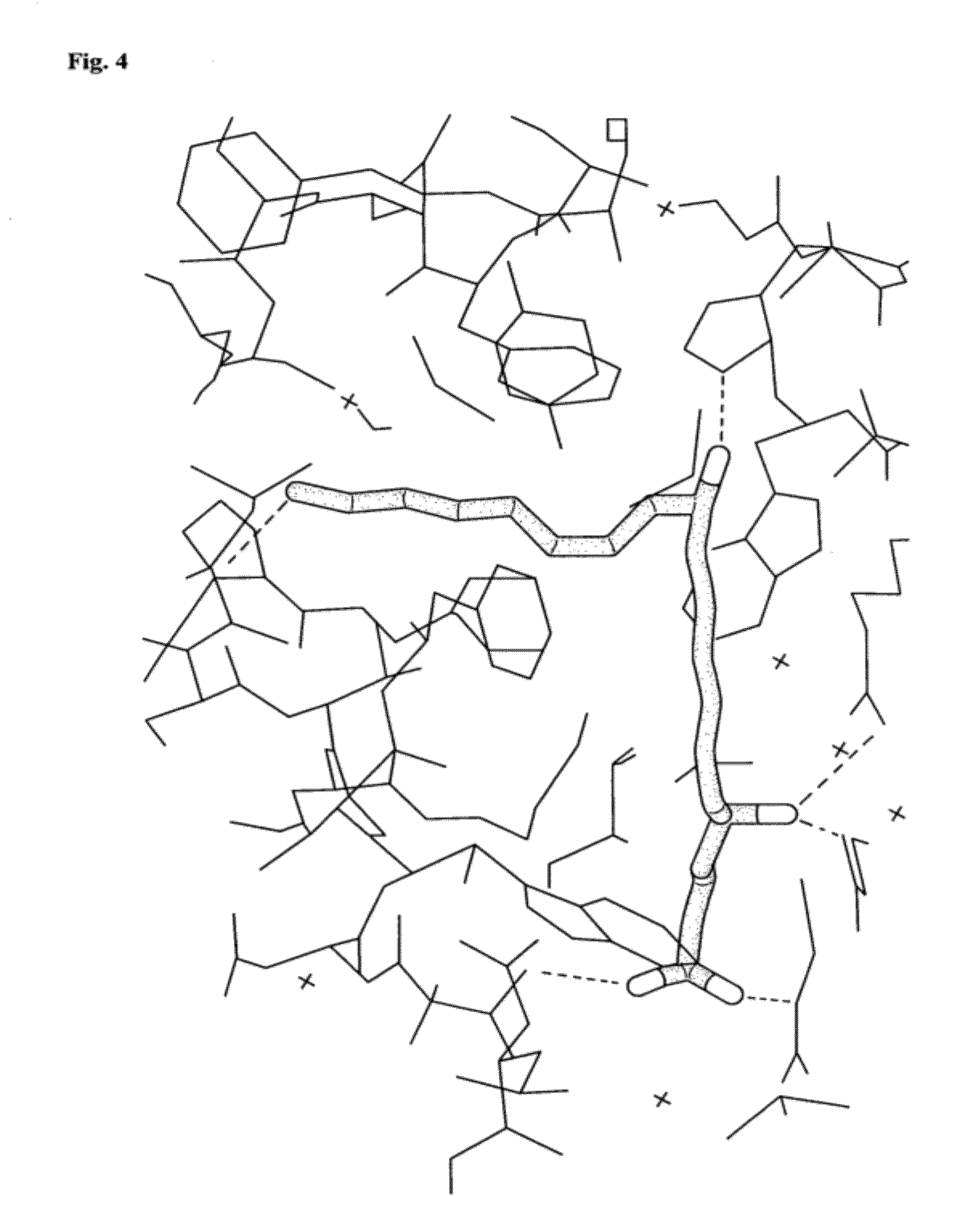 Modified omci as a complement inhibitor