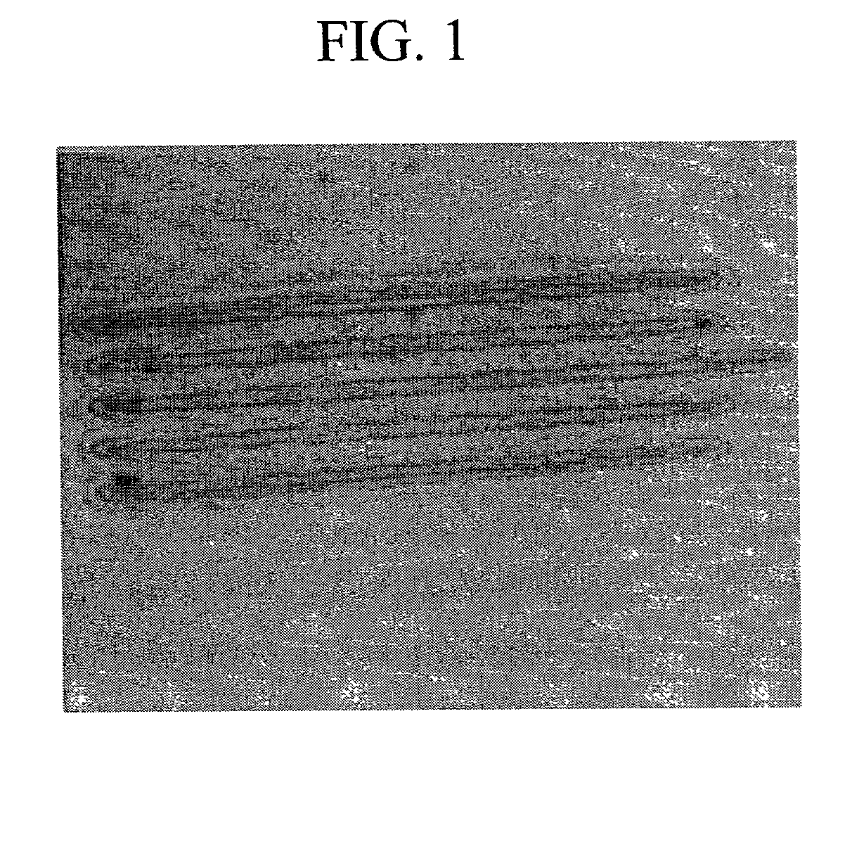 Methods for the lithographic deposition of materials containing nanoparticles