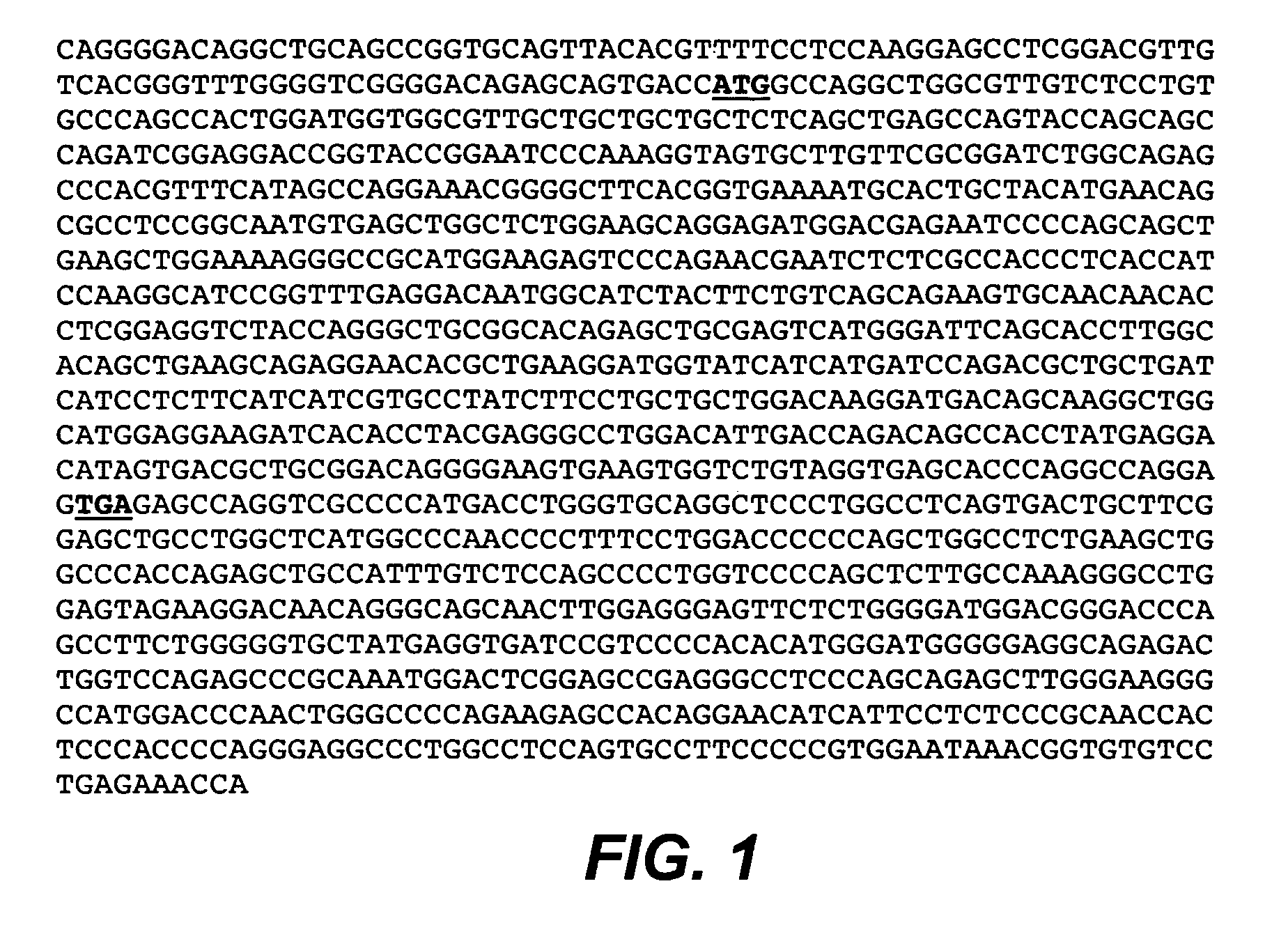 Anti-cd79b antibodies and immunoconjugates and methods of use