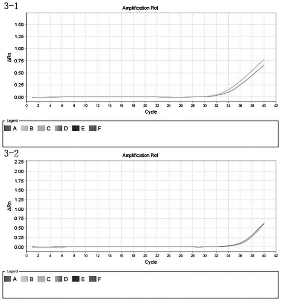 Primers, kits and method for fluorescent quantitative PCR detection of bursaphelenchus xylophilus or bursaphelenchus mucronatus