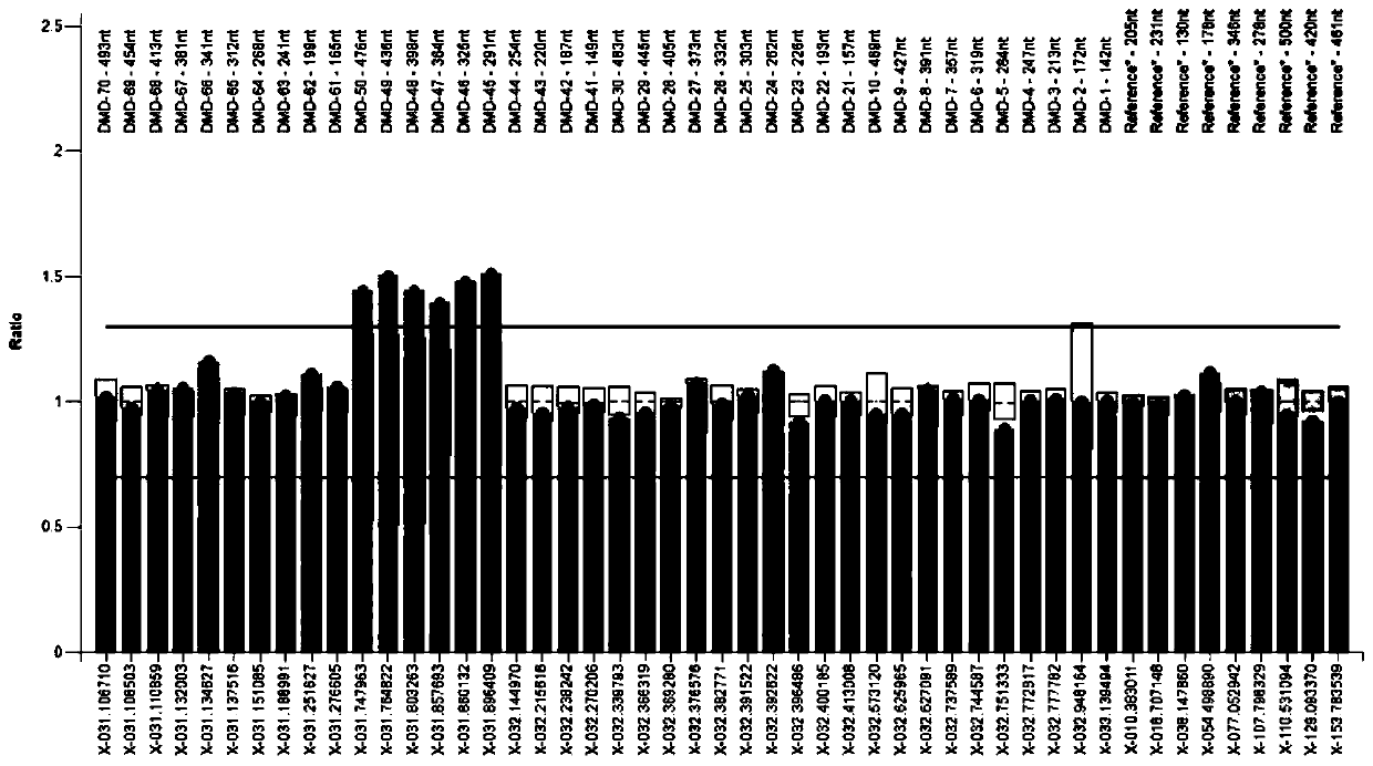 Amplifying system and reagent kit for detecting DMD (Duchenne muscular dystrophy) gene exon copy number variation