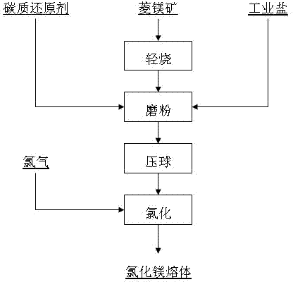 Chlorination process for pressing magnesite into balls through light burning dry method