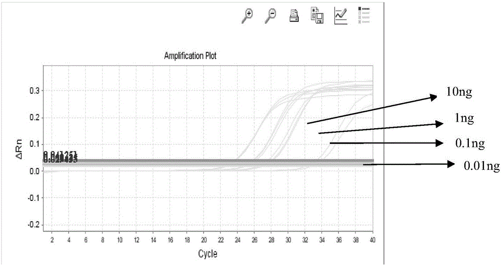 A detection kit for rapid identification of donkey hide, horse hide and mule hide