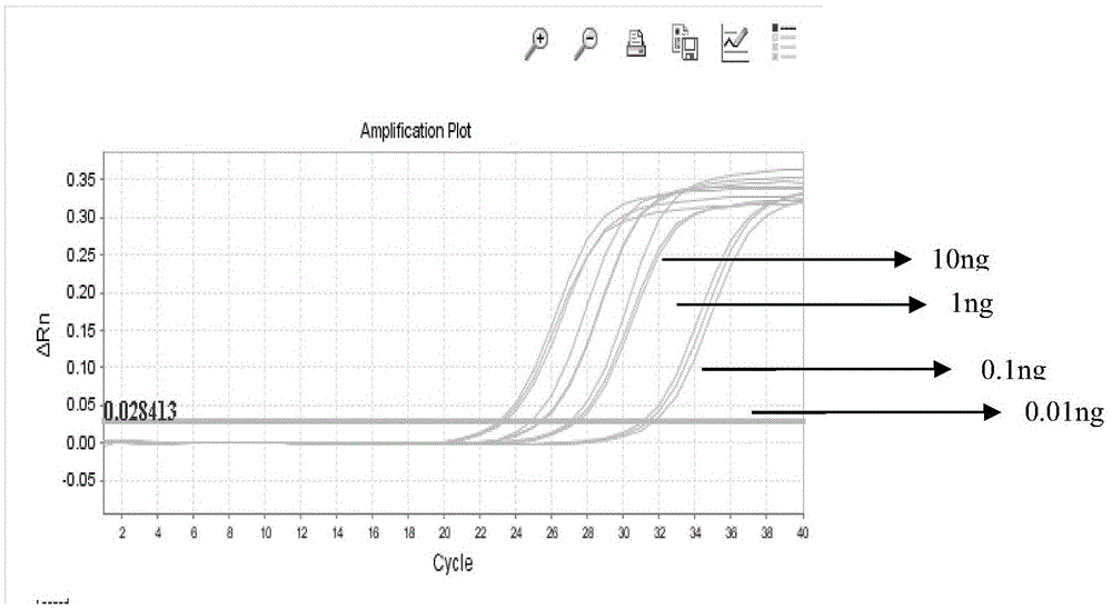 A detection kit for rapid identification of donkey hide, horse hide and mule hide