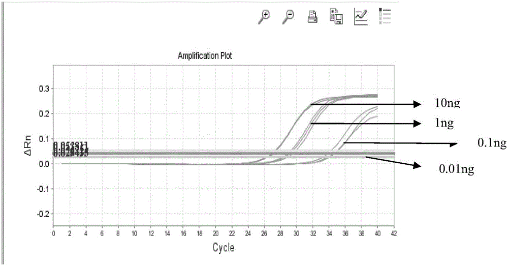 A detection kit for rapid identification of donkey hide, horse hide and mule hide