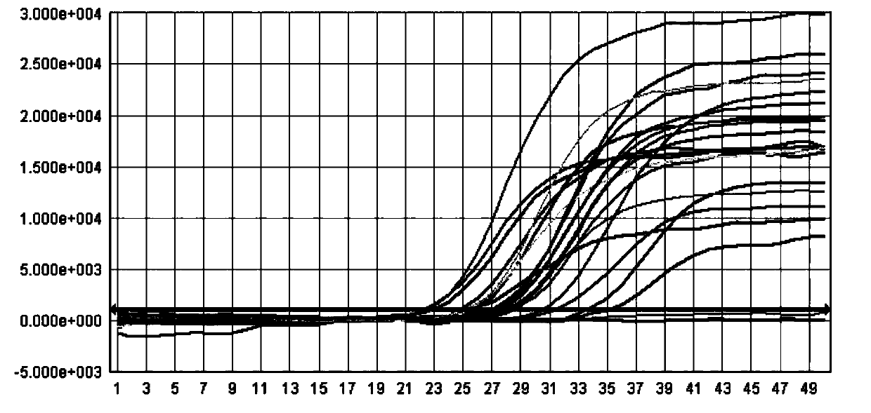 Viral nucleic acid extraction reagent