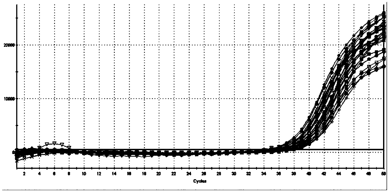 Viral nucleic acid extraction reagent