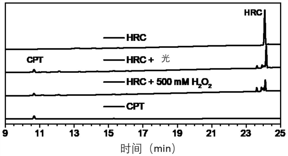 Nano diagnosis and treatment agent, preparation method and application thereof