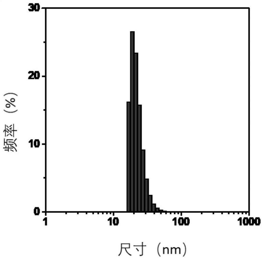 Nano diagnosis and treatment agent, preparation method and application thereof