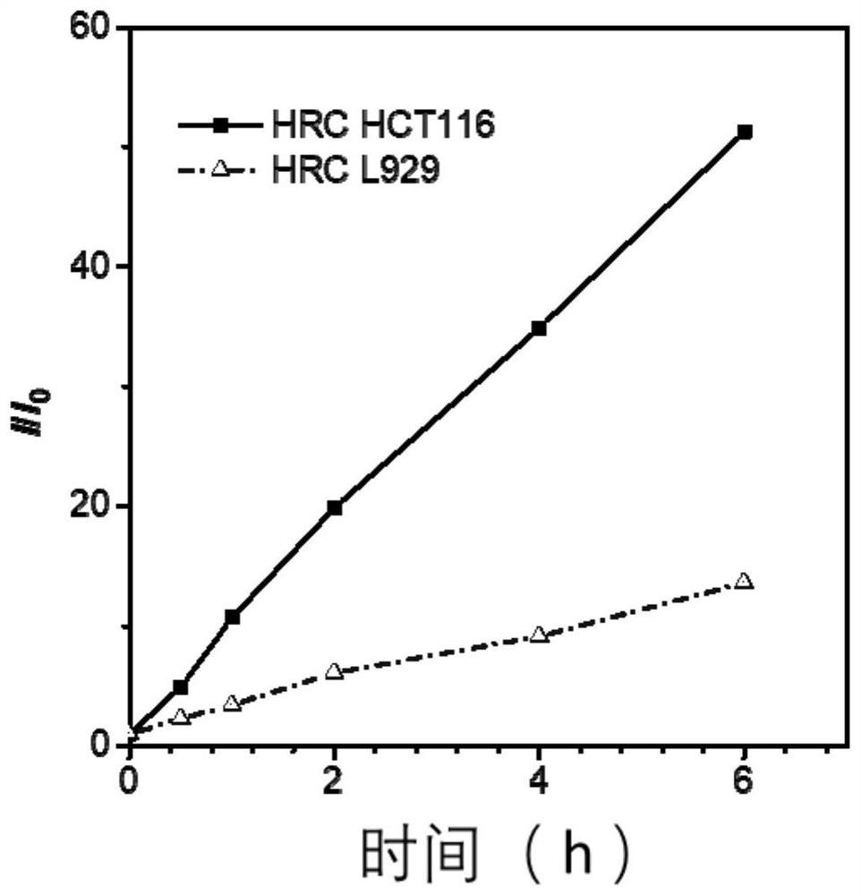 Nano diagnosis and treatment agent, preparation method and application thereof