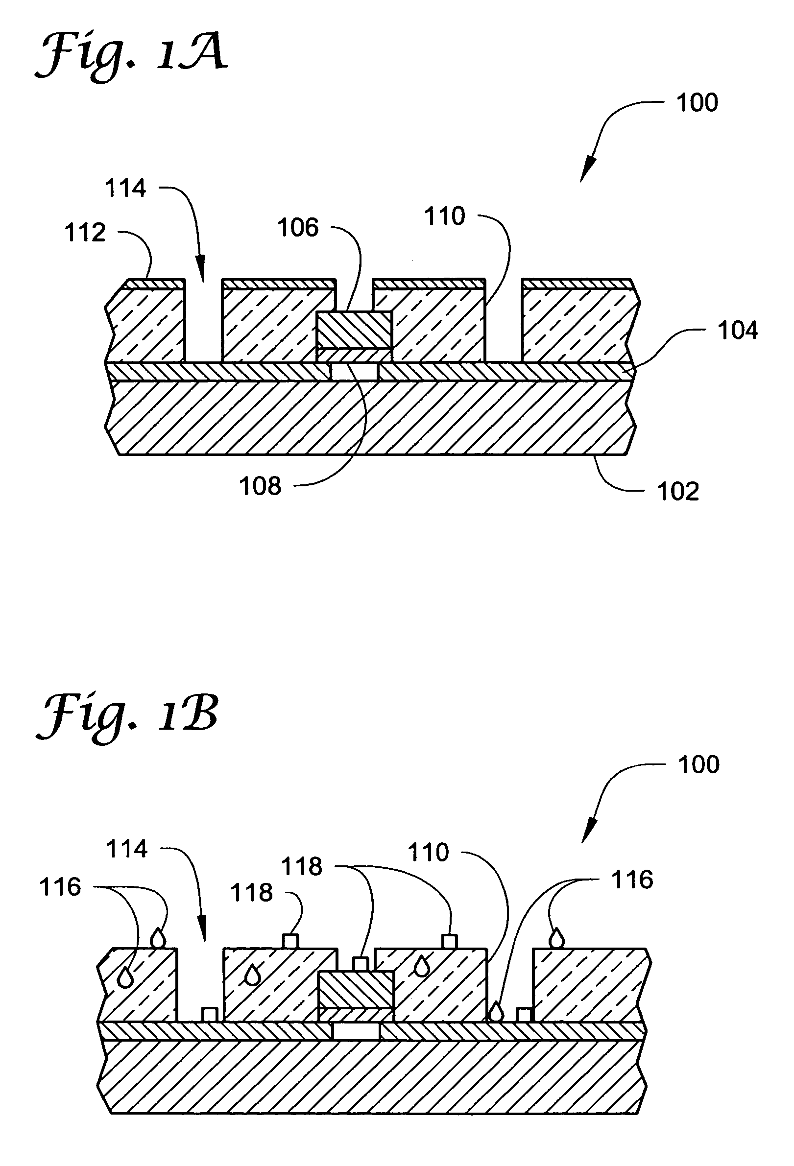 Polar fluid removal from surfaces using supercritical fluids