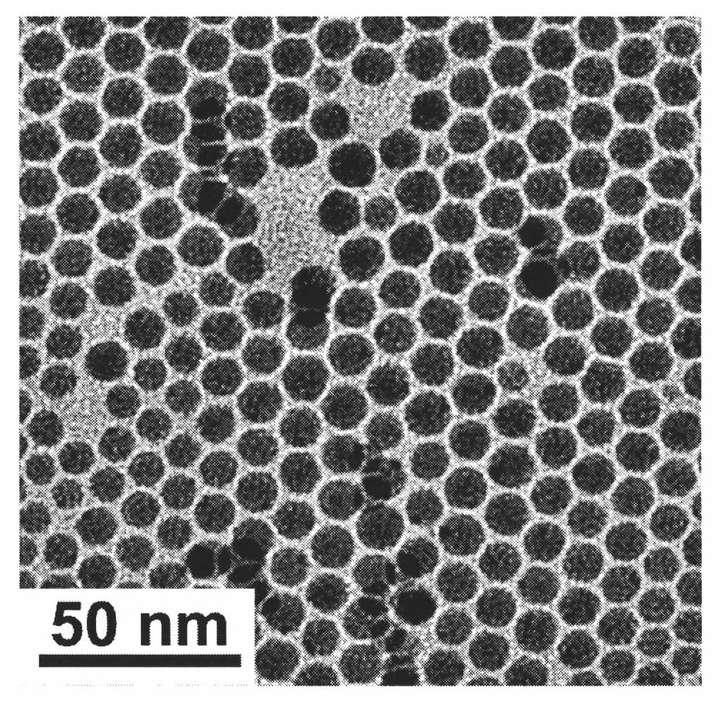 Method for preparing monodisperse near-infrared quantum dots