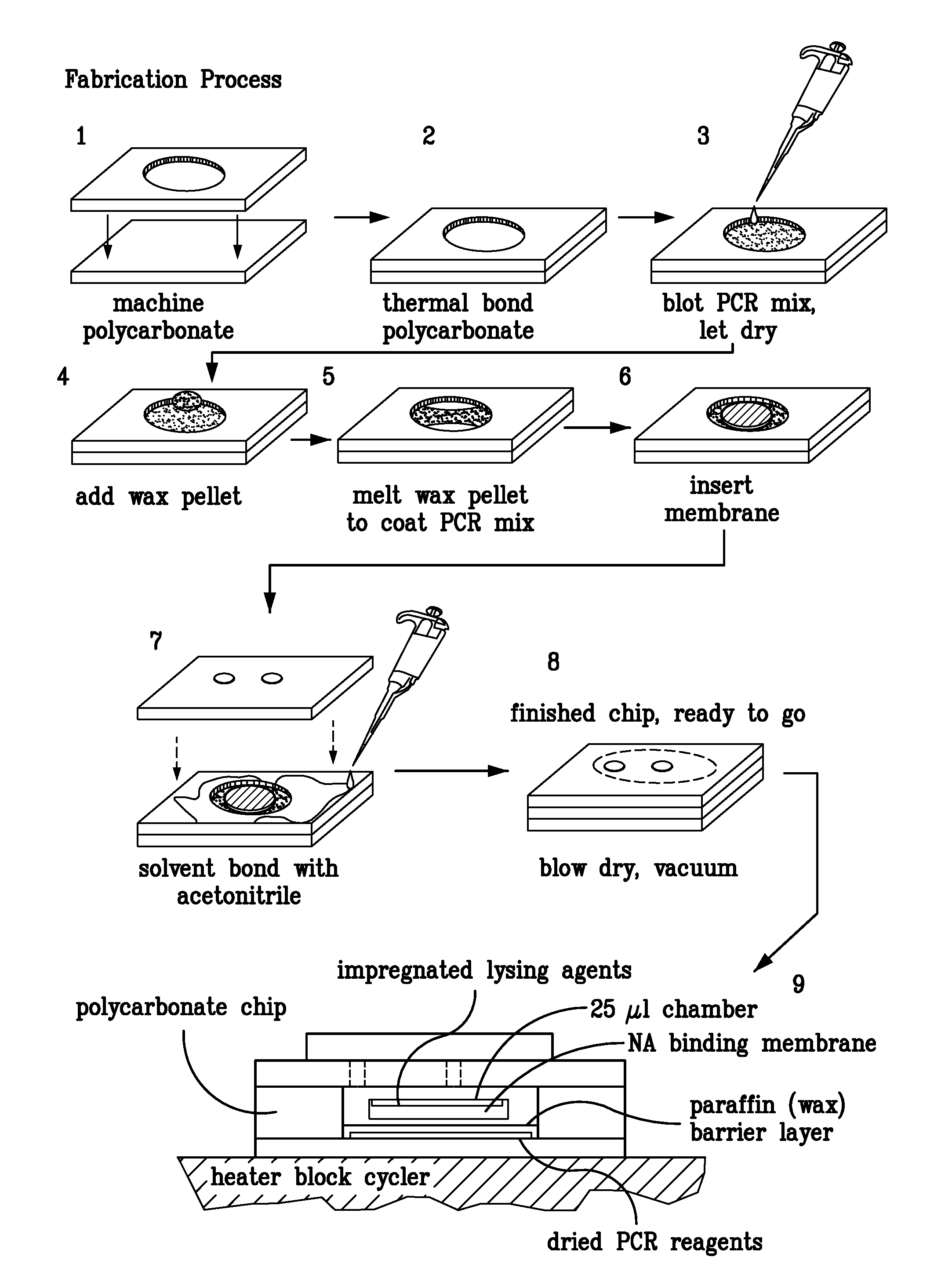 Integrated PCR reactor for cell lysis, nucleic acid isolation and purification, and nucleic acid amplication related applications