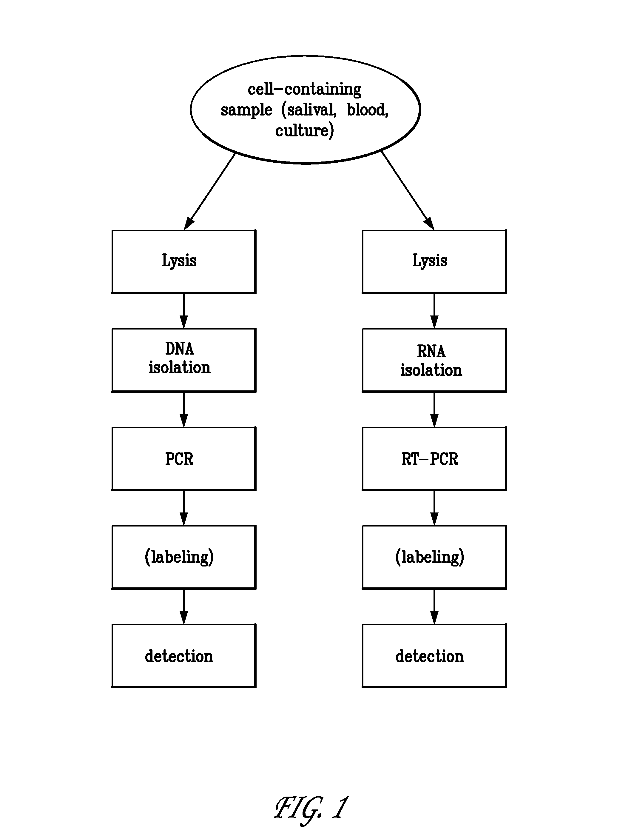 Integrated PCR reactor for cell lysis, nucleic acid isolation and purification, and nucleic acid amplication related applications