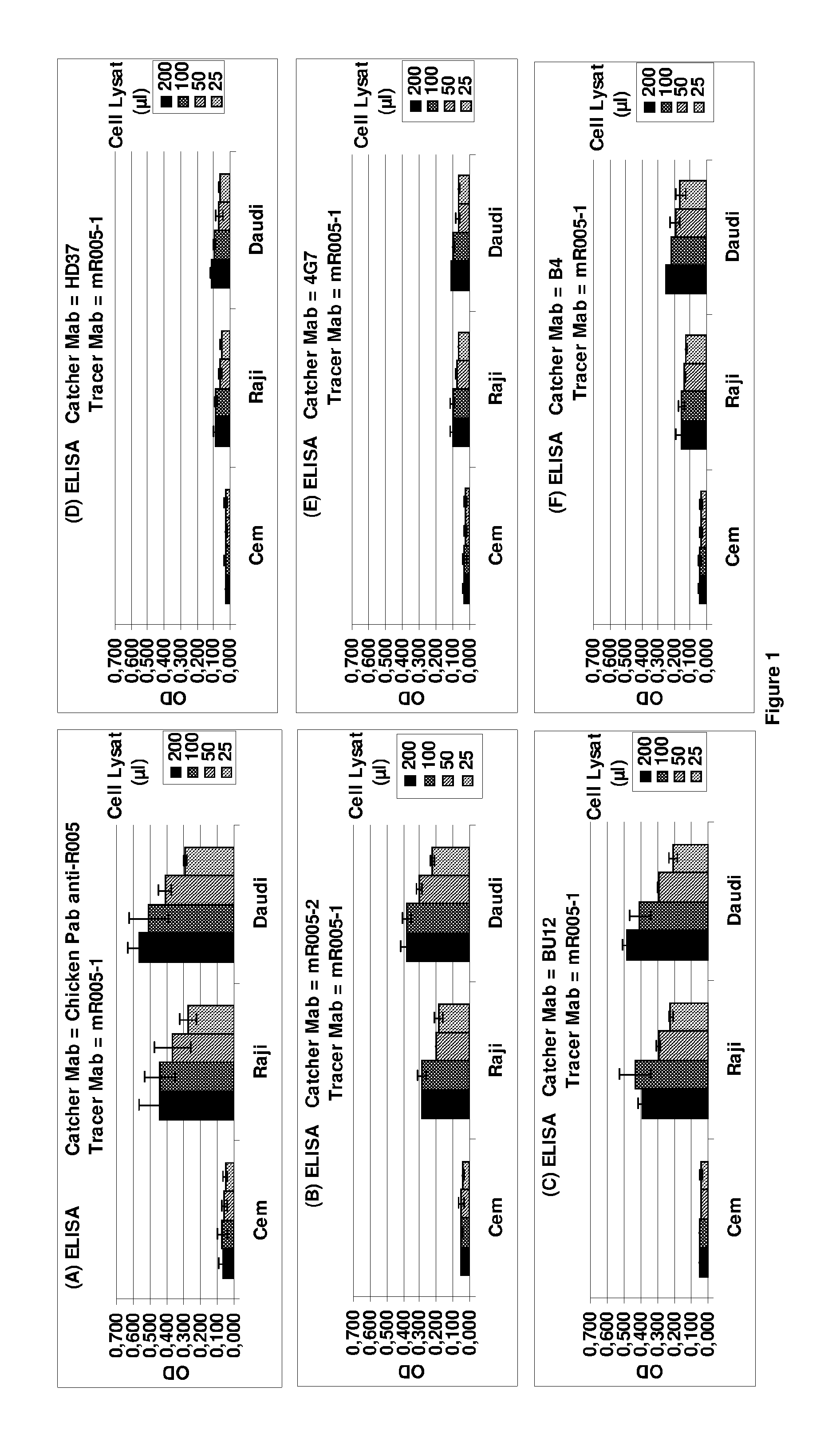 Anti-CD19 antibody having ADCC function with improved glycosylation profile