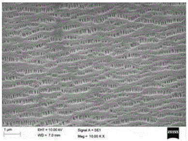 Fractional crystallization analysis method of polyolefin resin