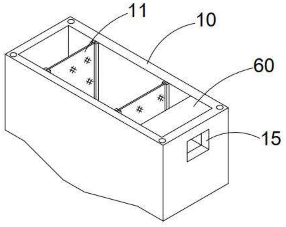 Transfer device for soft coral