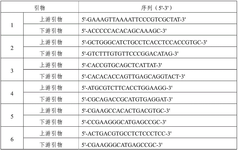 Specific primer and probe for detecting T790M locus of EGFR gene