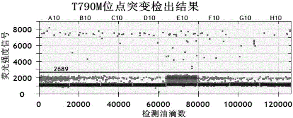 Specific primer and probe for detecting T790M locus of EGFR gene