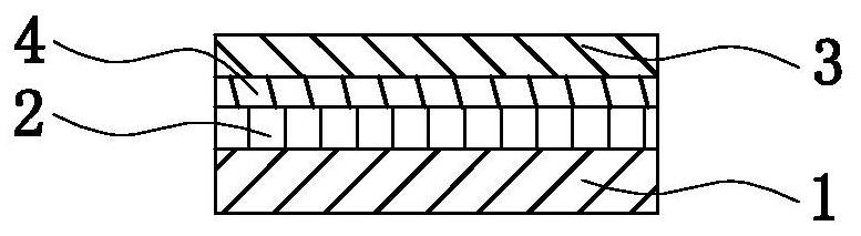 Shoe pad and shoe pad integrated forming machine and method for manufacturing shoe pad