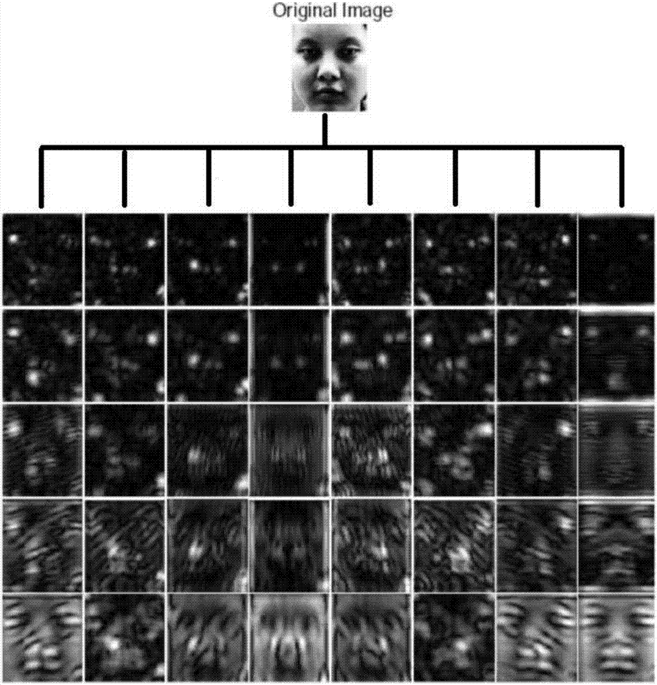 Face feature-based gender classifying method and device