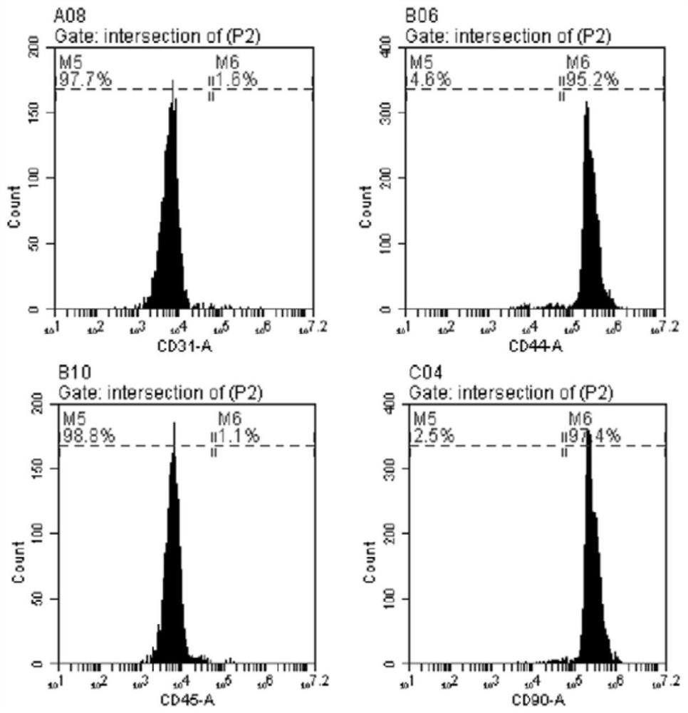 A method for inducing myogenic differentiation of adipose-derived mesenchymal stem cells