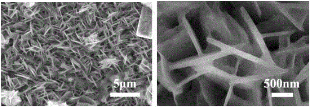 NiOOH@CuO/Cu2O composite nanosheet array film as well as preparation method and application thereof