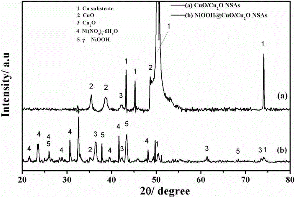 NiOOH@CuO/Cu2O composite nanosheet array film as well as preparation method and application thereof