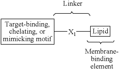 Synthetic mimics of mammalian cell surface receptors: method and compositions