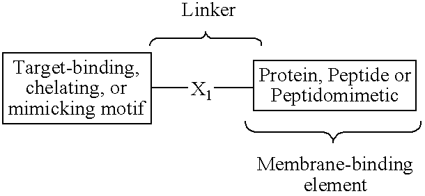 Synthetic mimics of mammalian cell surface receptors: method and compositions