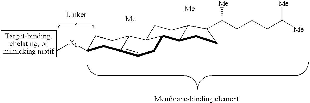 Synthetic mimics of mammalian cell surface receptors: method and compositions