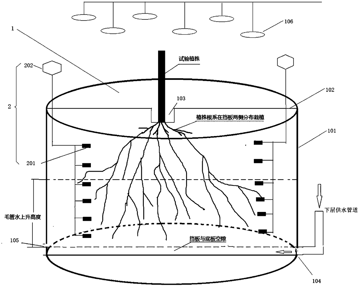 Alternative irrigation simulation test device and method for plant